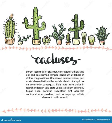 Hand Drawn Cactus Set Stock Vector Illustration Of Botany 59937004