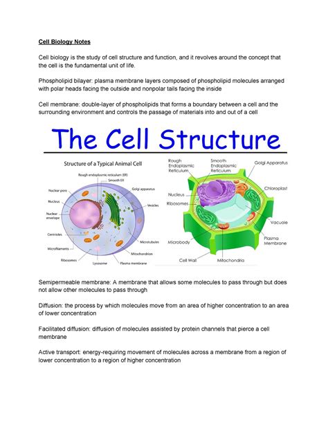 Cell Biology Notes Cell Biology Notes Cell Biology Is The Study Of