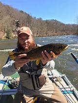 North Carolina Fly Fishing License Pictures