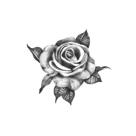 Blue rose tattoo design on ankle. Pretty Rose Temporary Tattoo / Rose Temporary Tattoo ...