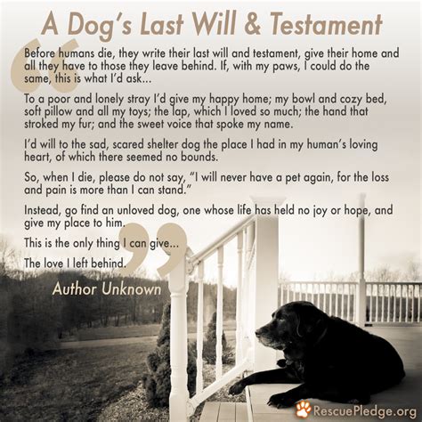 When your dog dies, you might be comforted by a visible reminder and testament to your dog. Pet Euthanasia in Cave Creek AZ by Chaparral Veterinary ...