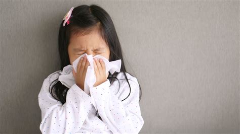 Food allergy or food hypersensitivity can develop to almost any protein or carbohydrate component of food. Sinus problems? Allergies could be the cause | Arizona ...