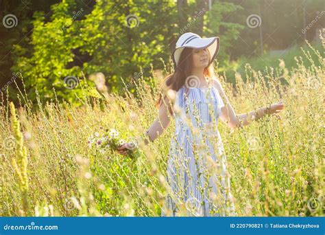 Young Woman Picking Flowers In The Meadow In Summer Evening Stock Image