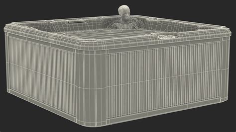 Nude Women In Hot Tub With Water 3d Model 169 3ds Blend C4d Fbx Max Ma Lxo Obj Free3d