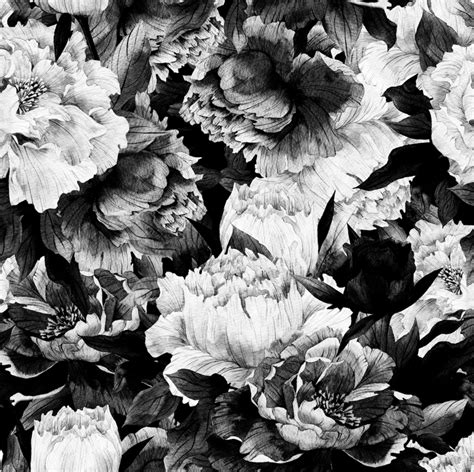 Monochrome Floral Wallpaper Peel And Stick Large Flower Wallpaper