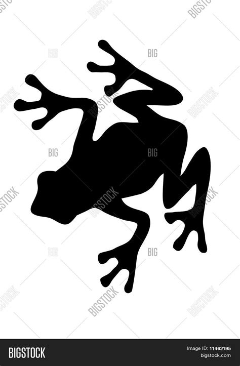 Free frog vector available for download free with simple classic style., its filesize is 257.52kb, you can download this design file for free. Frog Silhouette Vector & Photo (Free Trial) | Bigstock