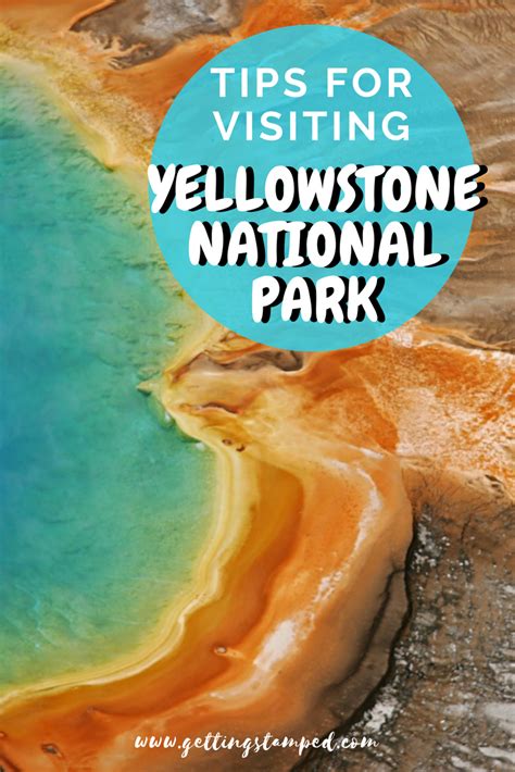 Tips For Visiting Yellowstone National Park Visit Yellowstone