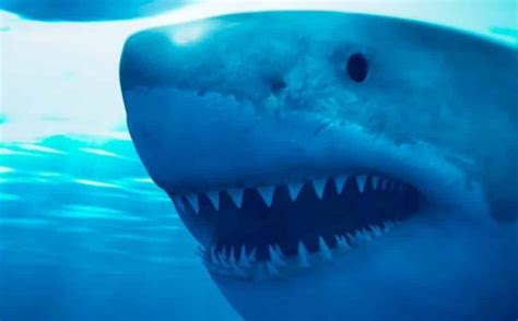 There are no featured reviews for because the movie has not released yet (). 'Deep Blue Sea 2' - The Terrible Shark Movie Sequel You ...