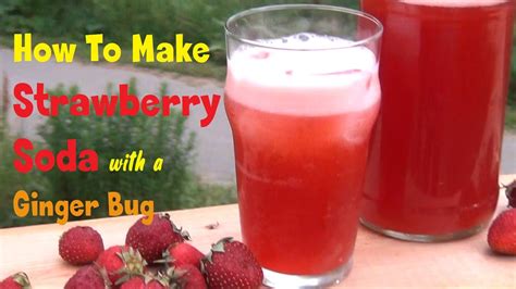 Strawberry Soda Recipe Naturally Fizzy With Ginger Bug