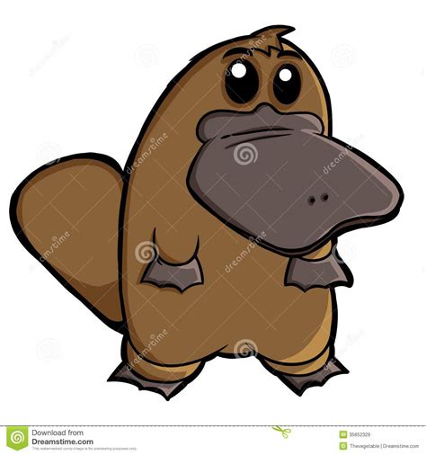 Platypus Royalty Free Stock Images Image 35652329