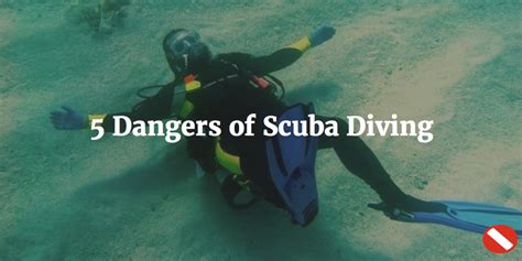 5 Dangers Of Scuba Diving Scuba Diving Scuba Diving Certification