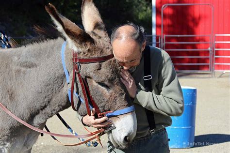 Photo Feature For The Love Of Donkeys Infonews Thompson Okanagans