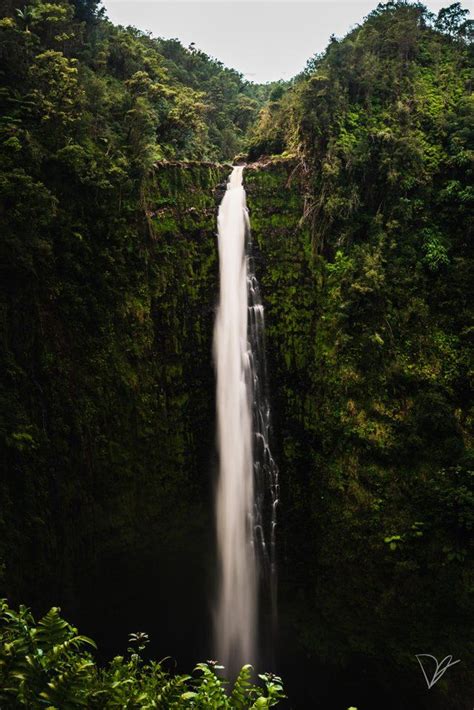 Remember how things move a little slower in hawaii? Akaka Falls on the Big Island of Hawaii : hawaiipics ...