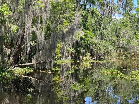 Annie Millers Sons Swamp And Marsh Tours Houma 2021 All You Need