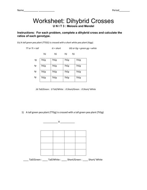 Dihybrid Cross Practice Worksheet Pdf