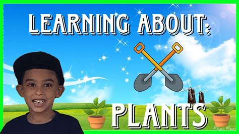 Learning About Plants How To Plant A Plant Fun With Rudresh Youtube