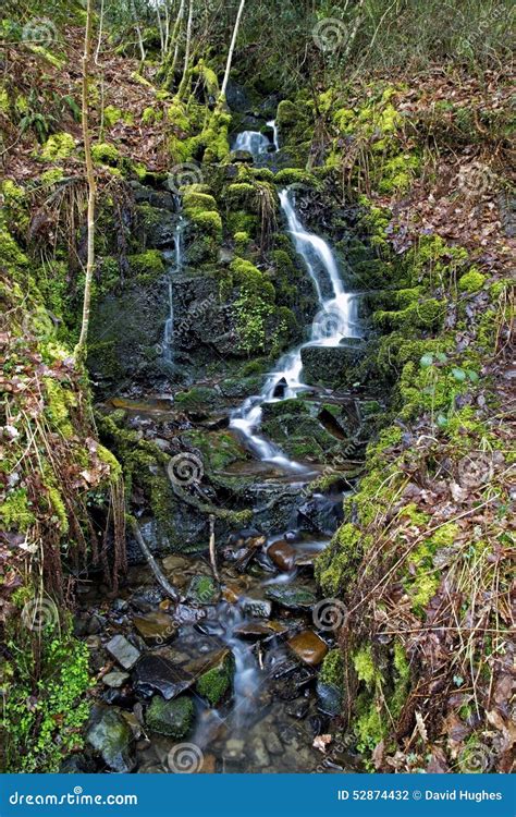 Trickle Of Water Over Moss And Rocks At Melincourt Waterfalls Stock