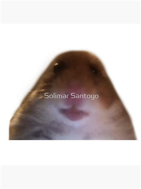 Hamster Staring Meme Photographic Print For Sale By Solisantoyo