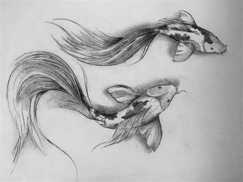 Realistic Koi Fish Pencil Drawing Anonimamentemivida