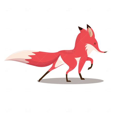 Funny Fox Png Photo 924 Free Png Images Download
