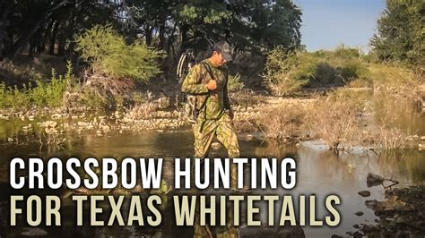 Hunting Texas Whitetail With Crossbows Youtube