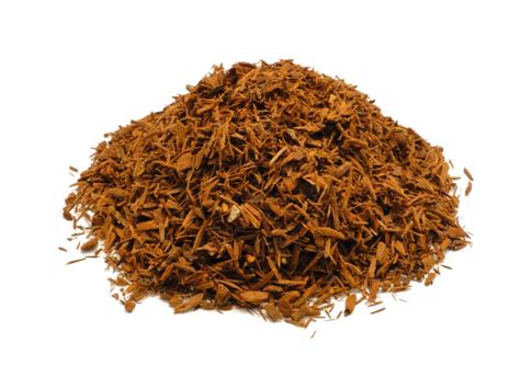 Yohimbe Bark Extract Order Yohimbe Extract Samples For Manufacturing