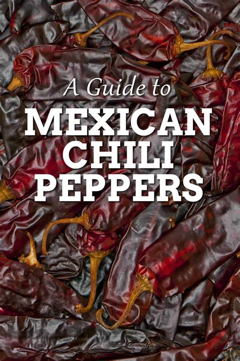 A Guide To Mexican Chili Peppers Chili Pepper Madness