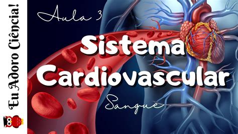 Sistema Cardiovascular Aula 3 Sangue Venoso E Sangue Arterial Youtube
