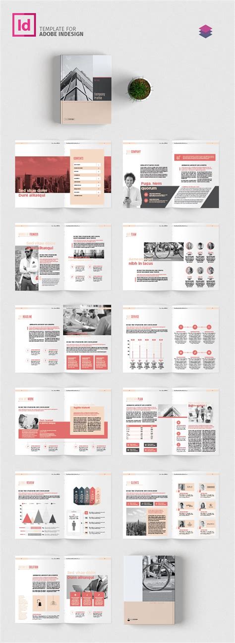 Template Company Profile Adobe After Effect