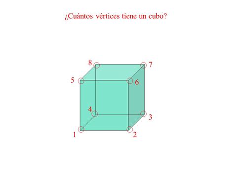 Cuántos Vértices Tiene Un Cubo Geometria 5Âº Ano Basico Unidad 5 Ppt