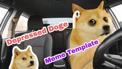 55 Depressed Sad Doge Meme Template