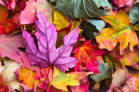 The Spiritual Significance Of Autumn Equinox In Our Modern Lives