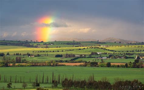 David Roma Photography Green Rainbows