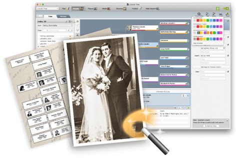 Software MacKiev - Family Tree Maker | Family tree maker, Family tree, Family history