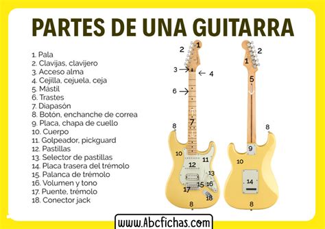 Partes De Una Guitarra Acustica Abc Fichas