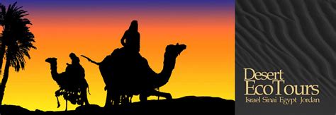 Desert Eco Tours Jeep Camel Hiking Desert Tours To Jordan Petra