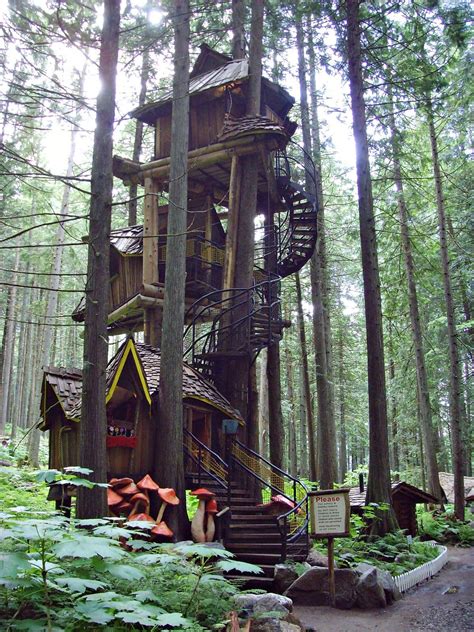 My Search For A Home The Worlds Tallest Treehouses Tree House