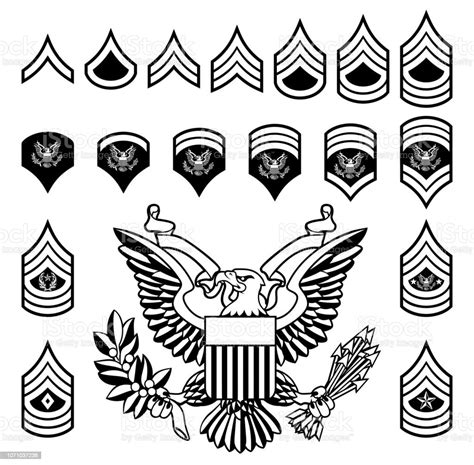 Army Military Rank Insignia Stock Illustration Download Image Now