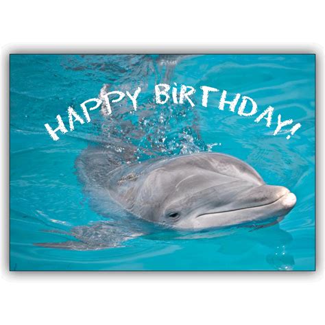 Happy birthday po daddy delfin ang saya niyo pong panoorin na mag ama @freda maranon: Schöne Geburtstagskarte: Happy Birthday - die Tier Foto ...