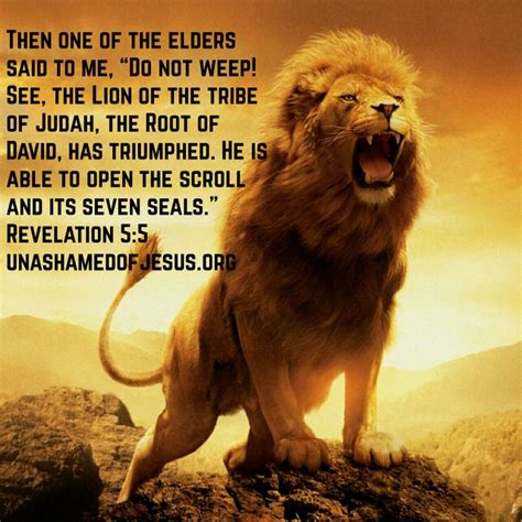 Lion Of Judah Unashamed Of Jesus