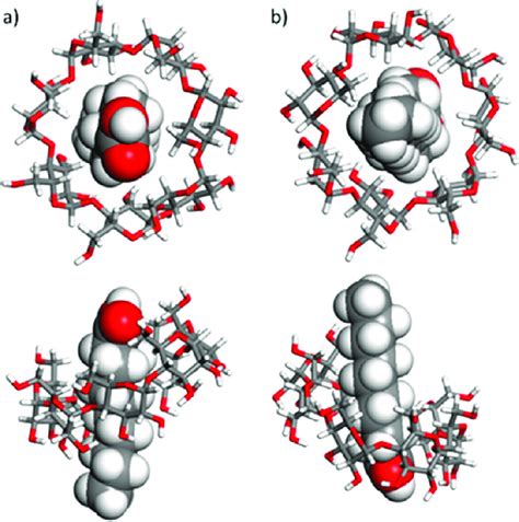 Top And Side Views Of The β Cd T4p Inclusion Complex A Conformation