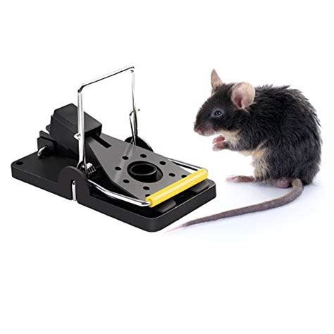 List Of Top 10 Best Mouse Traps For Home Use In Detail