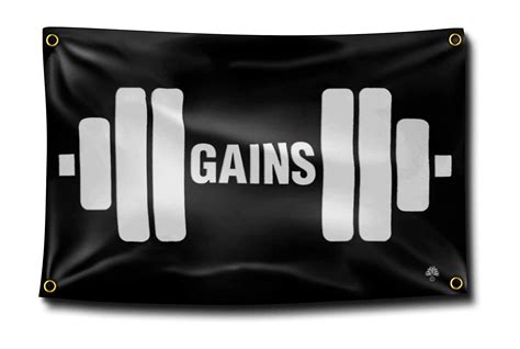 Buy Gains Gym Cool S For Man Cave Fitness S 5x3 Great For Home