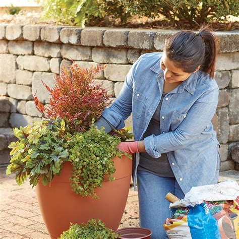 Fall Container Gardening Ideas The Home Depot