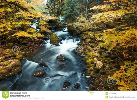 River Flowing Through Mossy Rocks In Park Forest With Autumn Fol Stock