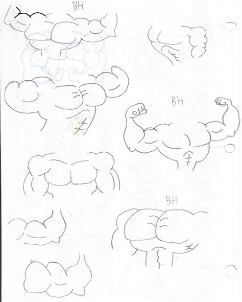 Muscle Sketches 02 By Thefranksterchannel On Deviantart