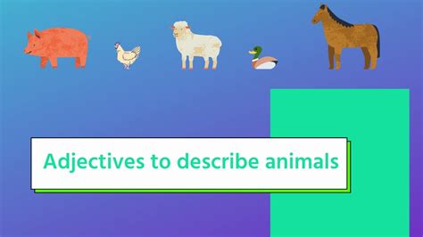 Adjectives To Describe Animals Youtube