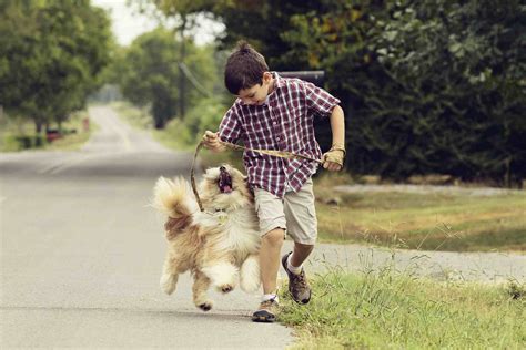 5 Things To Consider Before Getting Your Child A Pet