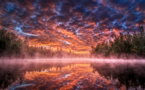 Nature Landscapes Lakes Water Reflection Fog Trees Forest Sky