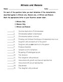 Mitosis Vs Meiosis Worksheets & Teaching Resources | TpT